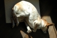 08.Sonnenbaden