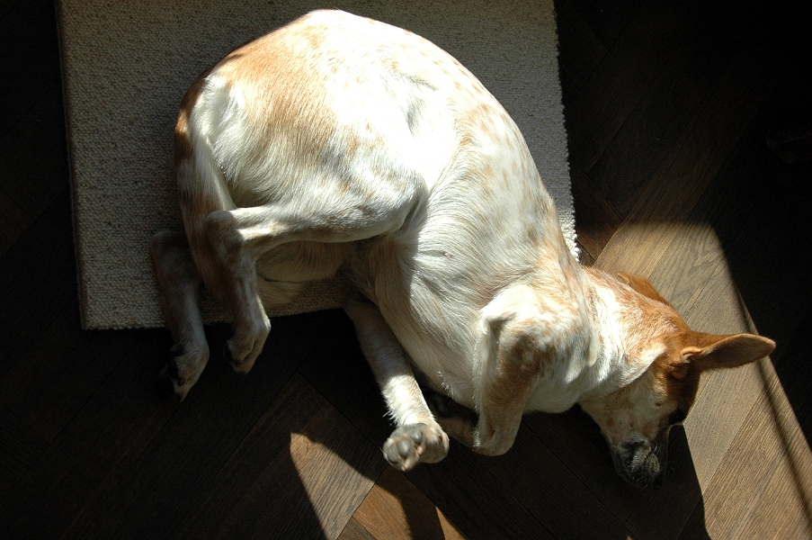08.Sonnenbaden