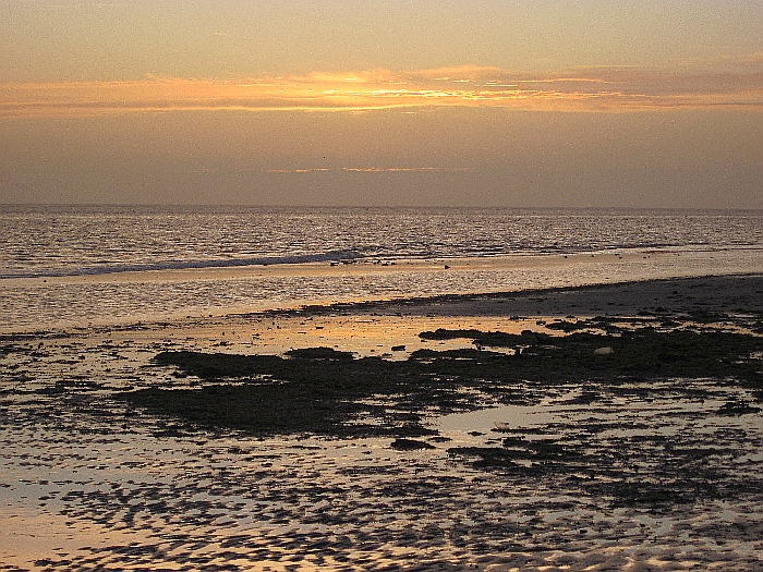 IMG_0128